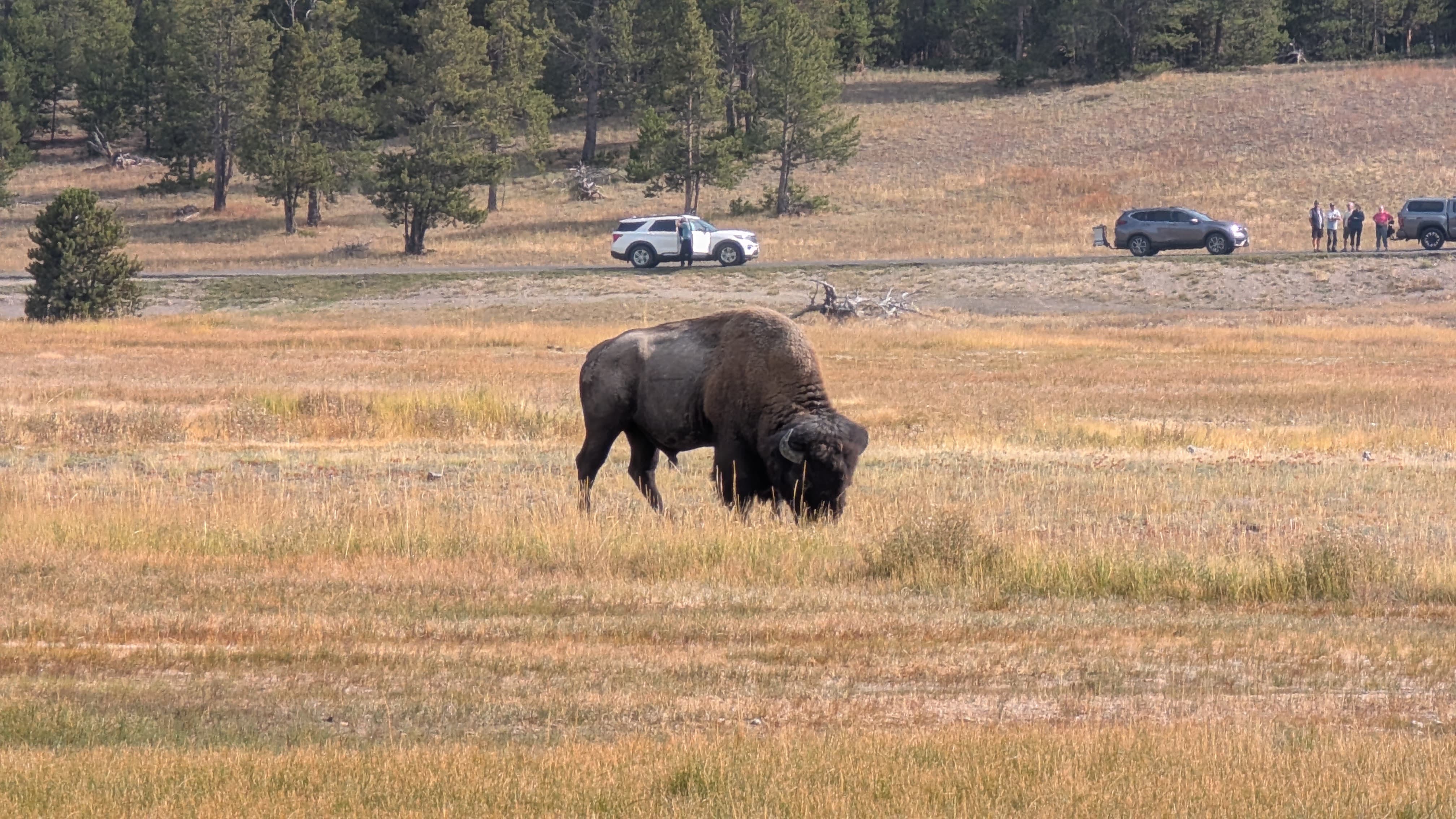 Yellowstone 7.jpeg